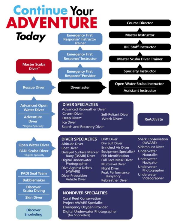 PADI Flow Chart Nautilus Diving All levels of diving