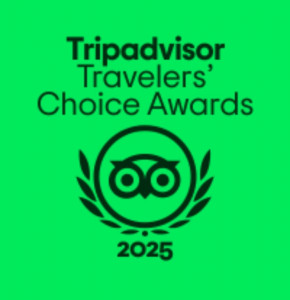 tripadvisor-2025