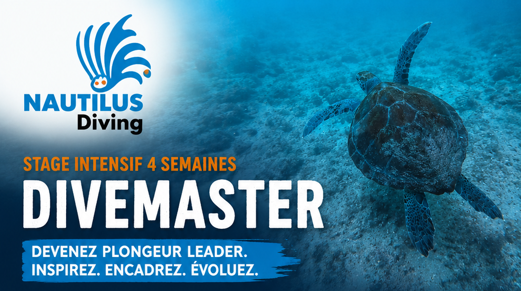 Nautilus Stage Divemaster Dakar