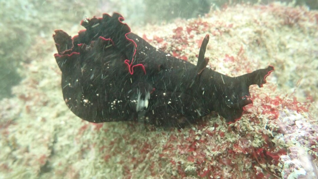 PHOTO-2026-03-21-19-24-25