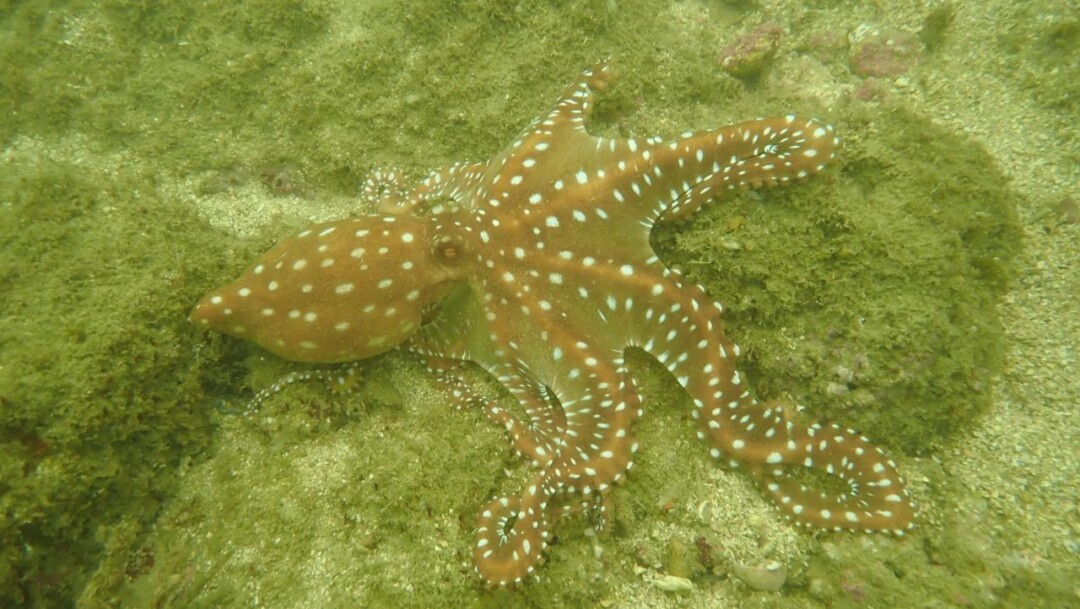 PHOTO-2026-03-21-19-25-37