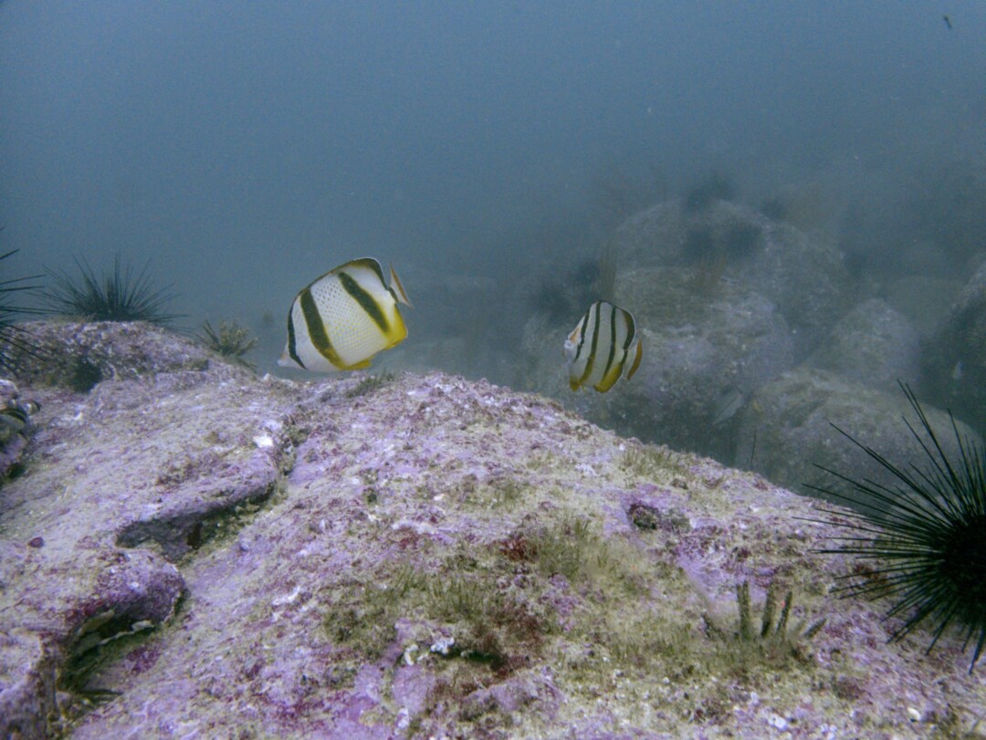 Toujours en couple, une image sympathique