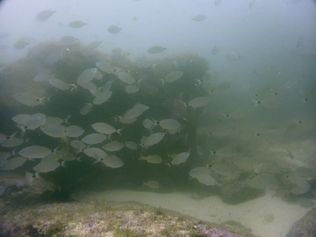 WhatsApp Image 2026-03-09 at 06.33.46