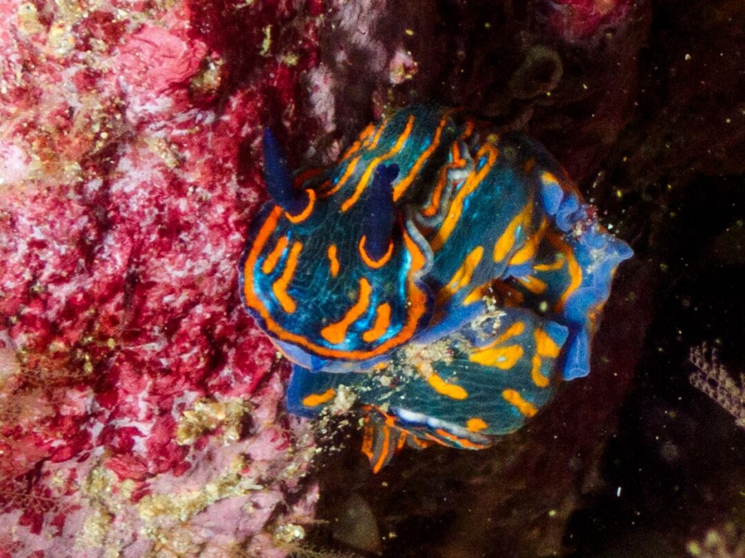 PHOTO-2026-04-04-17-58-05