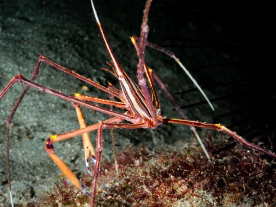 PHOTO-2026-04-04-18-01-08