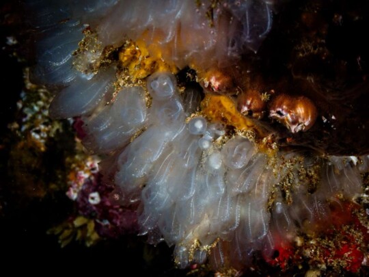 PHOTO-2026-04-04-18-04-20