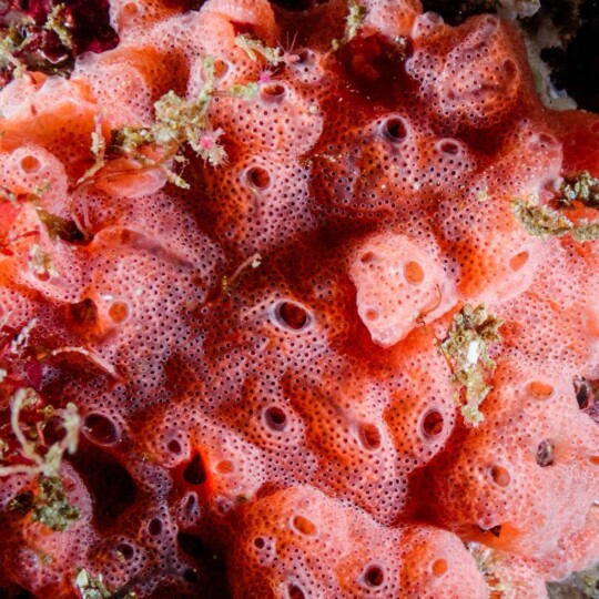 PHOTO-2026-04-04-20-44-23