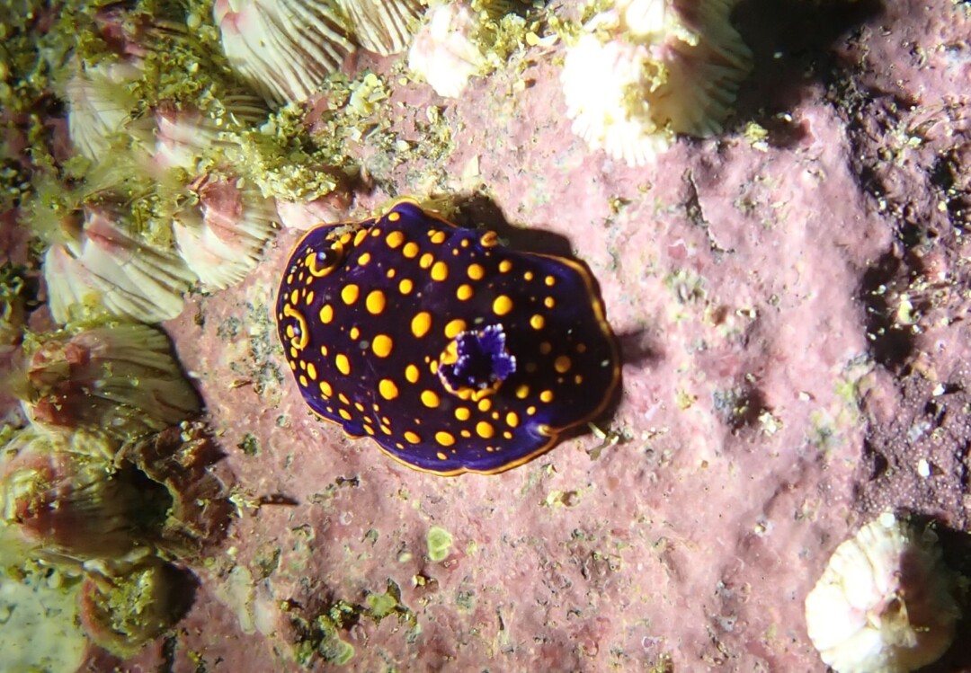 PHOTO-2026-04-20-07-18-03