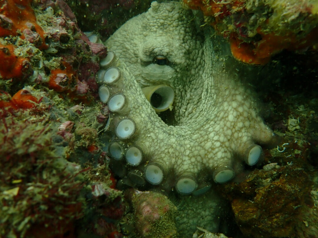 P7190195