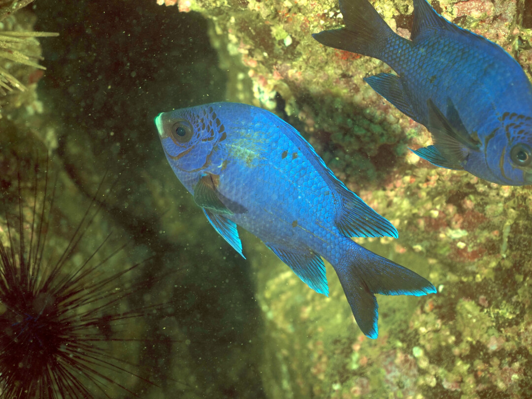 P9120775
